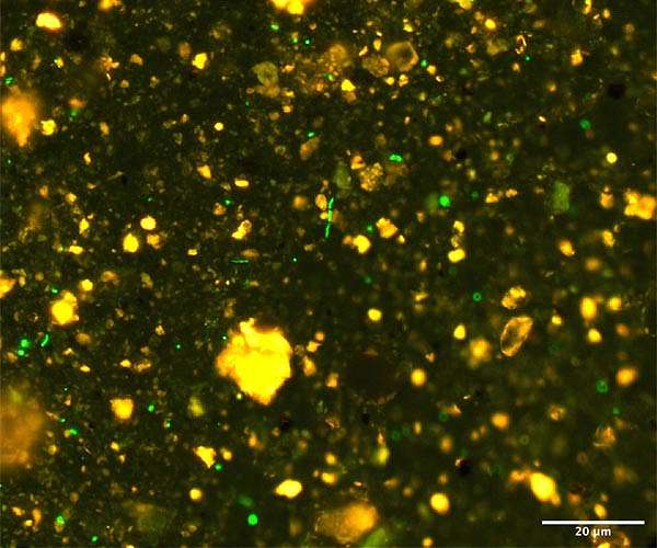 Robot fleet tracks, analyzes microbial community in the open ocean