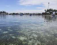 Seagrass is a key fishing ground globally