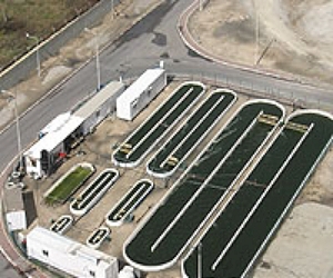 Aurora Algae Introduces Industry's First Photosynthetic Algae-Based Platform