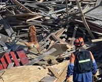 Israel sending soldier engineers to Mexico quake zone
