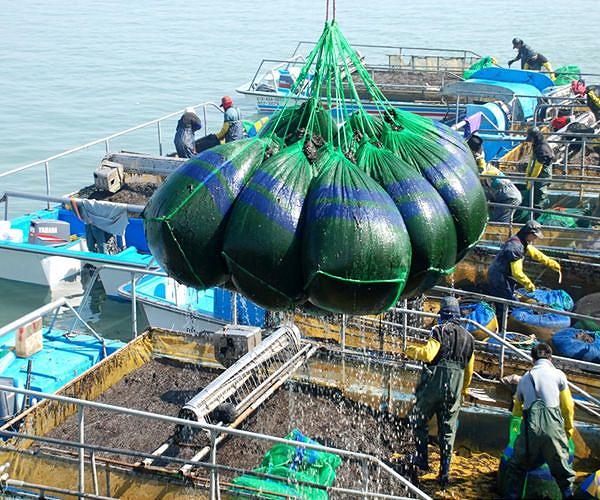From soup stock to supercrop: Japan shows off its seaweed savvy