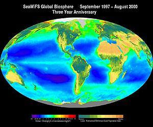 NASA Scientist and Education Award Winner Leads Student Phytoplankton Study