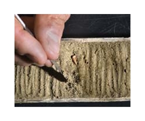 Geologist Discovers Pattern In Long-Term Climate Record