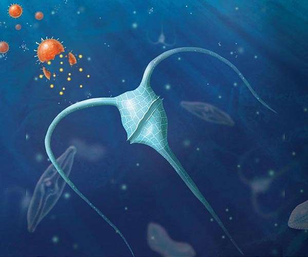 Drugs from the deep: scientists explore ocean frontiers