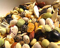Trust to save food crops from extinction