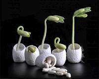 Coated seeds may enable agriculture on marginal lands