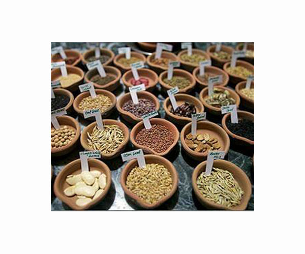 Amazon bans sales of foreign seeds in US after mystery packets