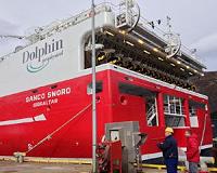 Seismic energy company Dolphin goes bust