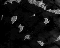 Copernicus benefitting society and the environment