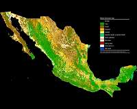 AMLO's 'Maya Train' wins in landslide in Mexico