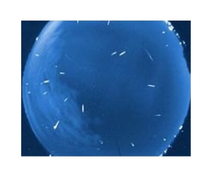 Spaceships, Meteors, and Moonlight