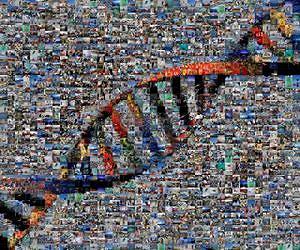Spanish researchers sequence the genome of global deep ocean