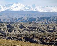 Snail shells show high-rise plateau is much lower than it used to be