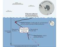 Southern Ocean acidification puts marine organisms at risk
