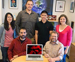 Berkeley Lab Scientists Spy Molecular Maneuvers