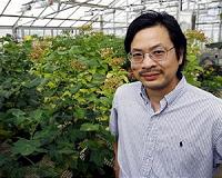 Protecting plants from stealthy diseases