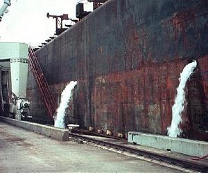Smithsonian Scientists Help Block Ship-Borne Bioinvaders Before They Dock