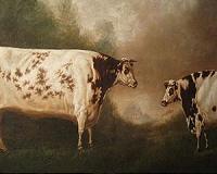 The story of animal domestication retold