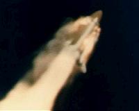 Challenger disaster at 30: Did the tragedy change NASA for the better?