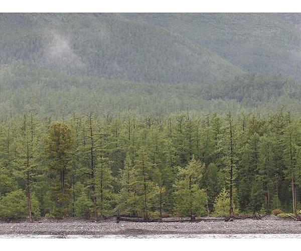Russia forecasters warn over Siberia forest fires