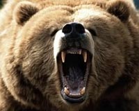 Activists slam China's use of bear bile in virus treatment