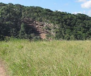 Earliest Known Bug-Repellant Plant Bedding Found at South African Rock Shelter