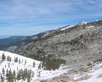 Some forestlands cool climate better without trees