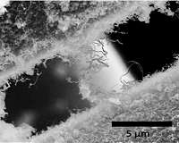'Fuzzy' fibers can take rockets' heat