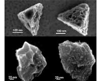 Surrey academics develop a new method to determine the origin of stardust in meteorites
