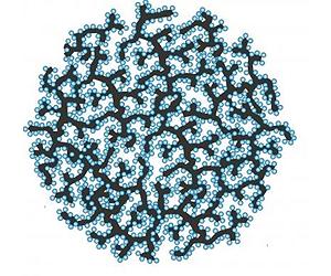 Significant Findings About Protein Architecture May Aid Generation Of Nanomaterials