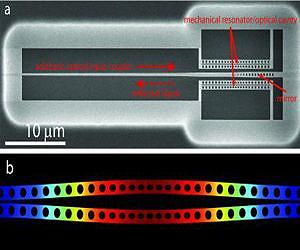 Tiny Sensors Put the Squeeze on Light