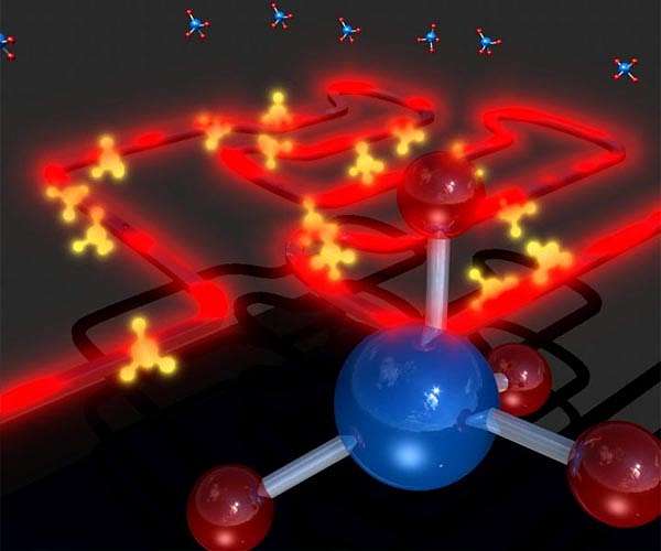 Purdue researchers trap atoms, forcing them to serve as photonic transistors