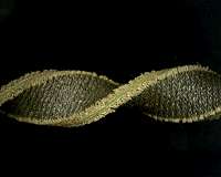 Soft and stretchy fabric-based sensors for wearable robots