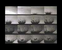 High Resolution Imaging of Hypervelocity Impacts