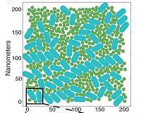 Seeing the big picture in photosynthetic light harvesting