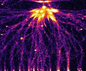 Lightning Sprites Are Out-of-This-World