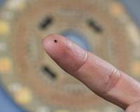 Single chip device to provide real-time 3D images from inside the heart, blood vessels