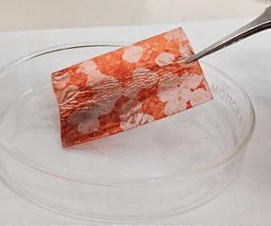 Researchers grow large graphene crystals with exceptional electrical properties