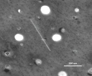 Rice professor's nanotube theory confirmed