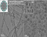 Researchers developed a cost-effective and efficient rival for platinum