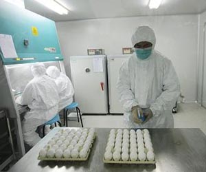 Era of Rapid Growth in Biomedical Research Over