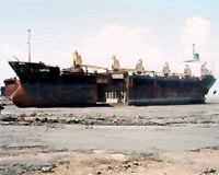 'Toxic' ship dismantled in Bangladesh despite court ban