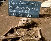 Teeth Of Columbus' Crew Flesh Out Tale Of New World Discovery