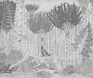 Floor of oldest forest discovered in Schoharie County