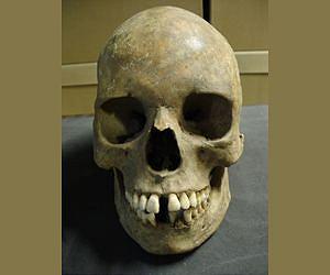 Skull find shows women were sacrificed in ancient China