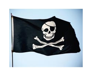 Pirates seize Chinese-crewed cargo ship: Xinhua