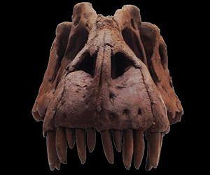 Newly discovered predatory dinosaur 'king of gore' reveals the origins of T. rex