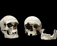 Reconstructing the 6th century plague from a victim