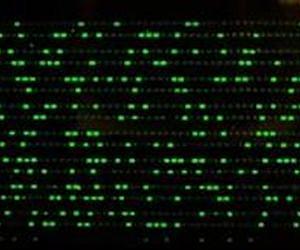 SlipChip Counts Molecules with Chemistry and a Cell Phone