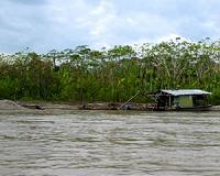 Mercury from gold mines accumulates far downstream